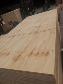 Untreated CDX Plywood